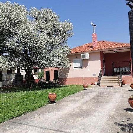 Αξέχαστη Διαμονή - Unforgettable Accommodation Nea Kallikrateia Kültér fotó
