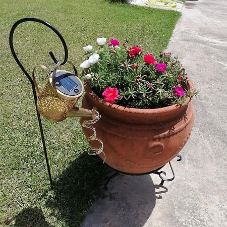 Αξέχαστη Διαμονή - Unforgettable Accommodation Nea Kallikrateia Kültér fotó