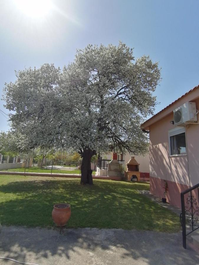 Αξέχαστη Διαμονή - Unforgettable Accommodation Nea Kallikrateia Kültér fotó